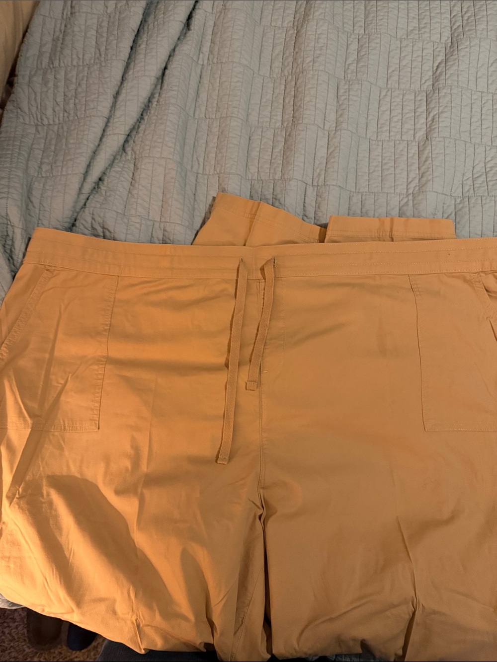 Torrid Drawstring Pants - Picture 4 of 4